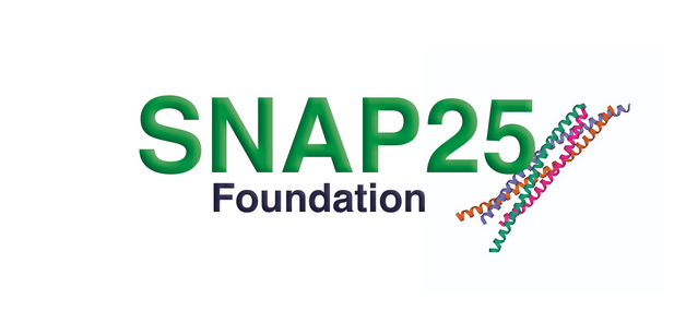 Snap25 Foundation
